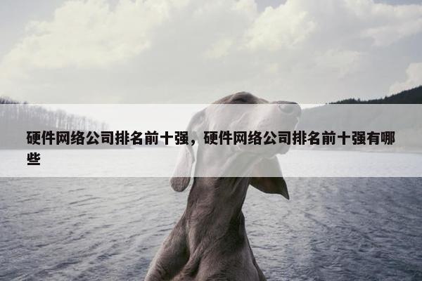 硬件网络公司排名前十强，硬件网络公司排名前十强有哪些