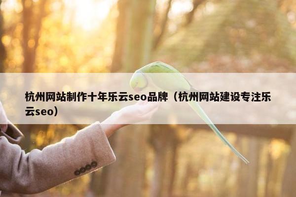 杭州网站制作十年乐云seo品牌（杭州网站建设专注乐云seo）