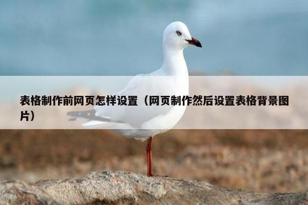 表格制作前网页怎样设置（网页制作然后设置表格背景图片）