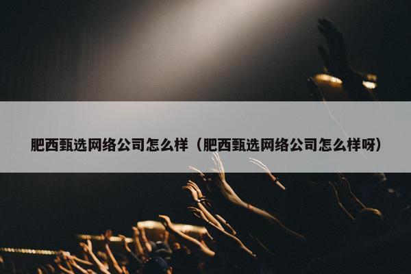 肥西甄选网络公司怎么样（肥西甄选网络公司怎么样呀）