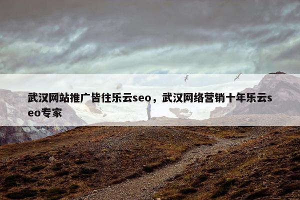 武汉网站推广皆往乐云seo，武汉网络营销十年乐云seo专家
