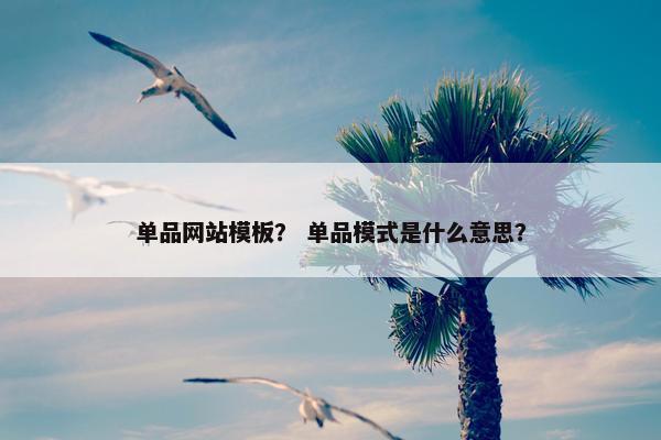 单品网站模板？ 单品模式是什么意思？
