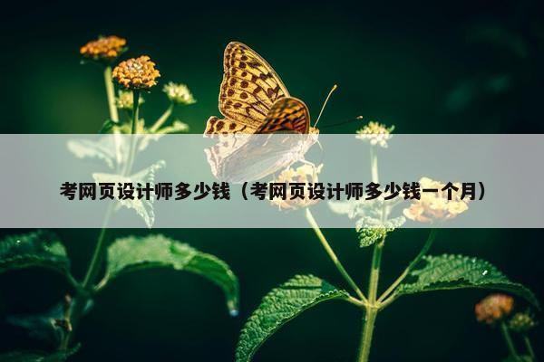 考网页设计师多少钱（考网页设计师多少钱一个月）
