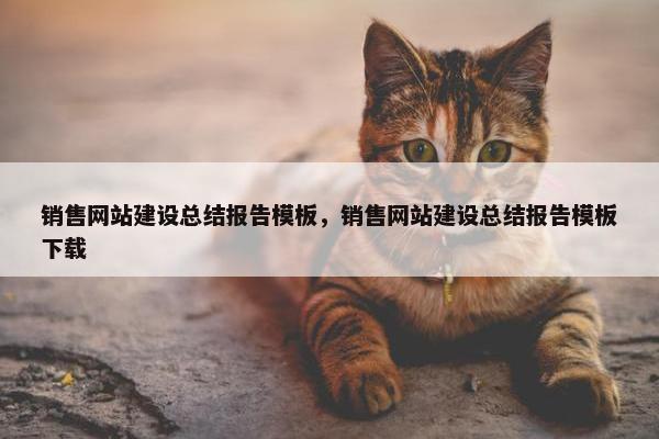 销售网站建设总结报告模板，销售网站建设总结报告模板下载