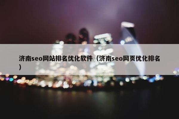 济南seo网站排名优化软件（济南seo网页优化排名）