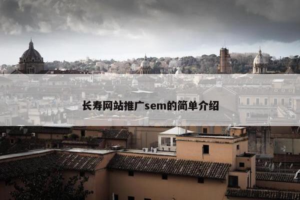 长寿网站推广sem的简单介绍