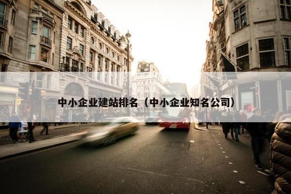 中小企业建站排名（中小企业知名公司）