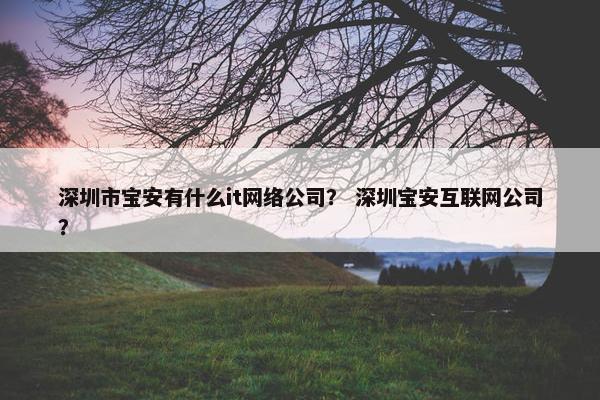 深圳市宝安有什么it网络公司？ 深圳宝安互联网公司？
