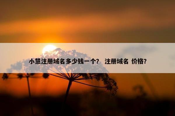 小慧注册域名多少钱一个？ 注册域名 价格？