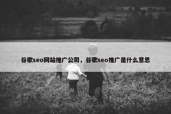 谷歌seo网站推广公司，谷歌seo推广是什么意思