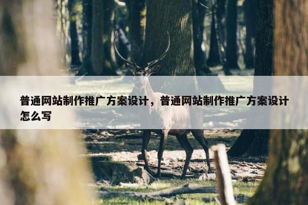 普通网站制作推广方案设计，普通网站制作推广方案设计怎么写