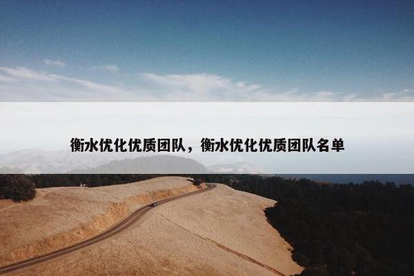 衡水优化优质团队，衡水优化优质团队名单