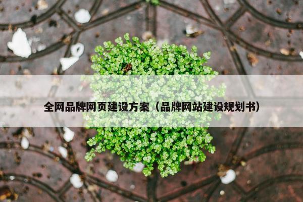 全网品牌网页建设方案（品牌网站建设规划书）