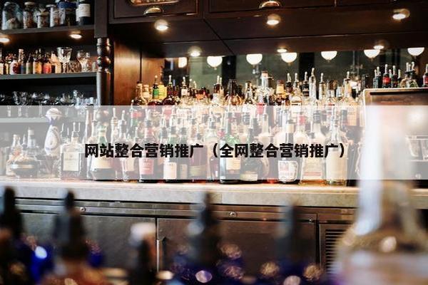 网站整合营销推广（全网整合营销推广）