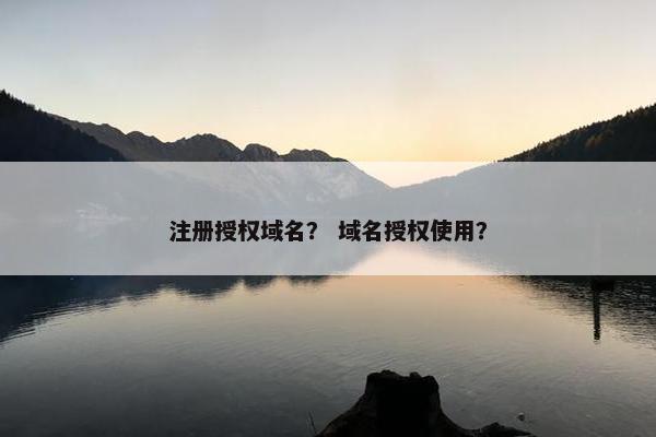 注册授权域名？ 域名授权使用？