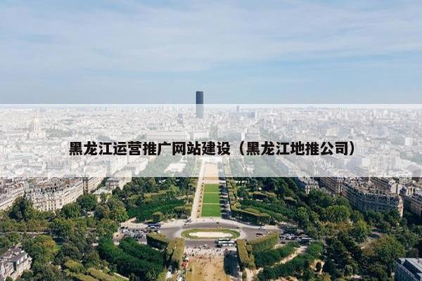黑龙江运营推广网站建设（黑龙江地推公司）