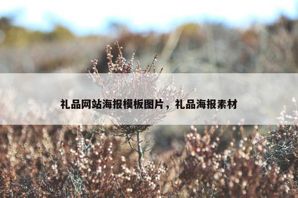 礼品网站海报模板图片，礼品海报素材