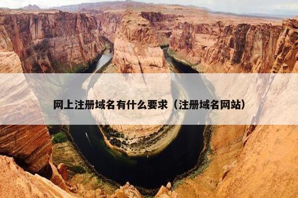 网上注册域名有什么要求（注册域名网站）