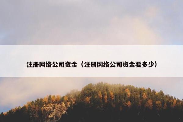 注册网络公司资金（注册网络公司资金要多少）
