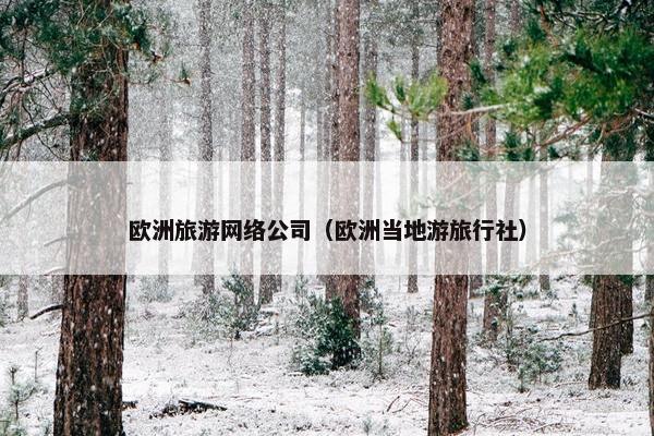 欧洲旅游网络公司（欧洲当地游旅行社）