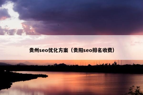 贵州seo优化方案（贵阳seo排名收费）