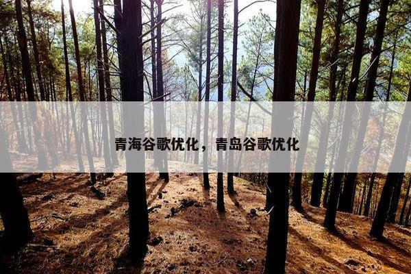 青海谷歌优化，青岛谷歌优化