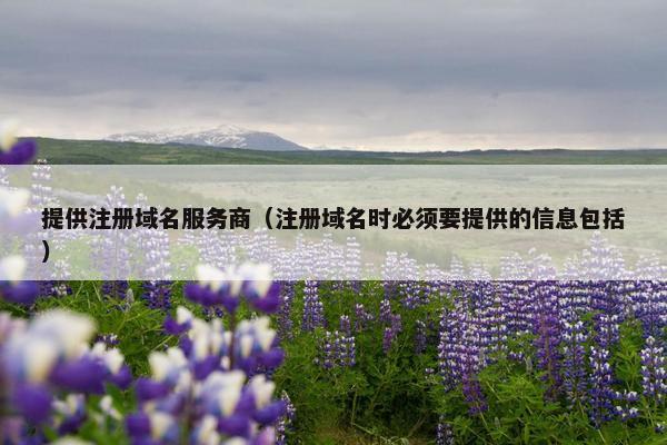 提供注册域名服务商（注册域名时必须要提供的信息包括）