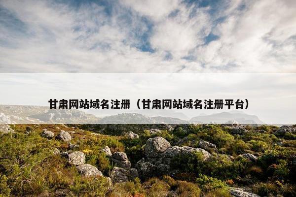 甘肃网站域名注册（甘肃网站域名注册平台）