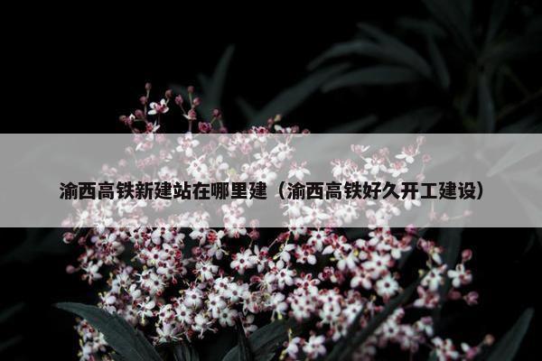 渝西高铁新建站在哪里建（渝西高铁好久开工建设）