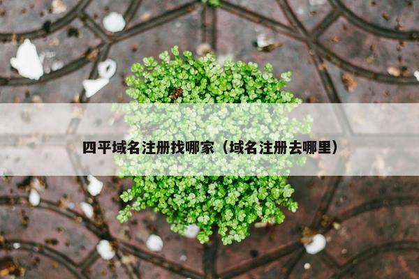 四平域名注册找哪家（域名注册去哪里）