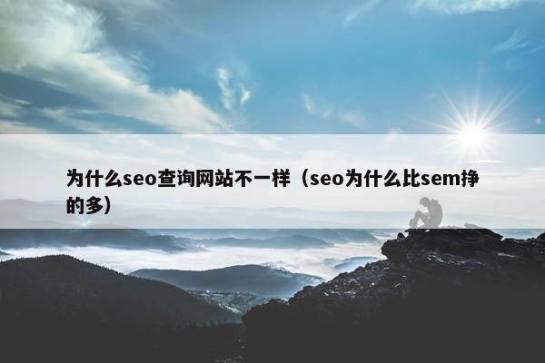 为什么seo查询网站不一样（seo为什么比sem挣的多）