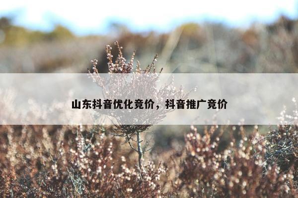山东抖音优化竞价，抖音推广竞价