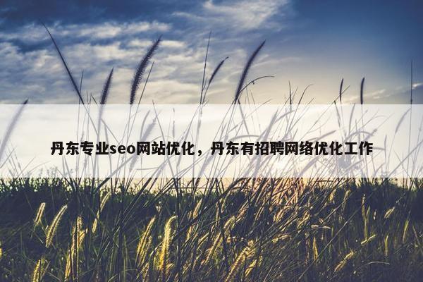 丹东专业seo网站优化，丹东有招聘网络优化工作