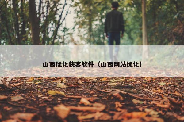 山西优化获客软件（山西网站优化）