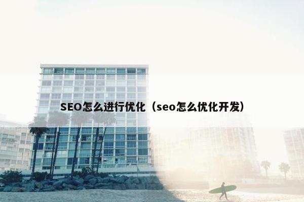 SEO怎么进行优化（seo怎么优化开发）