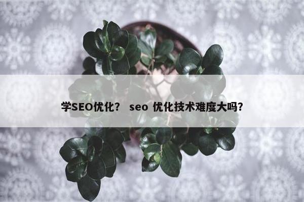 学SEO优化？ seo 优化技术难度大吗？