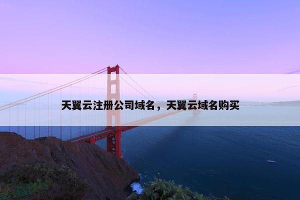 天翼云注册公司域名，天翼云域名购买