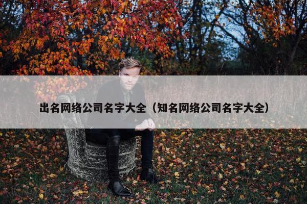 出名网络公司名字大全（知名网络公司名字大全）