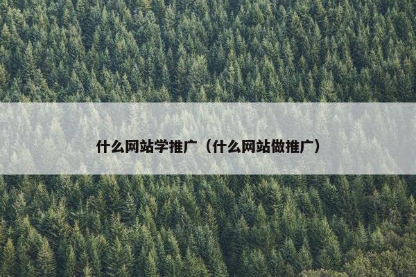 什么网站学推广（什么网站做推广）