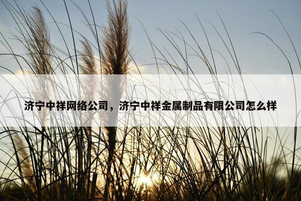 济宁中祥网络公司，济宁中祥金属制品有限公司怎么样
