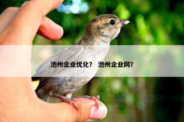 池州企业优化？ 池州企业网？
