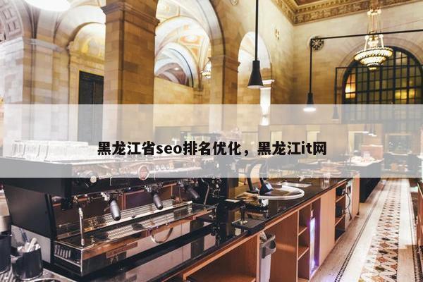 黑龙江省seo排名优化，黑龙江it网