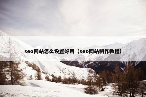 seo网站怎么设置好用（seo网站制作教程）