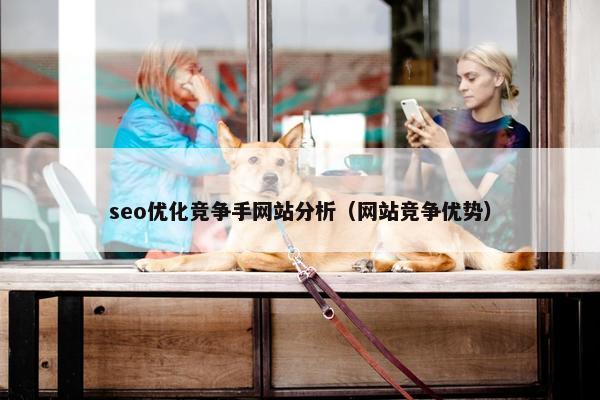 seo优化竞争手网站分析（网站竞争优势）