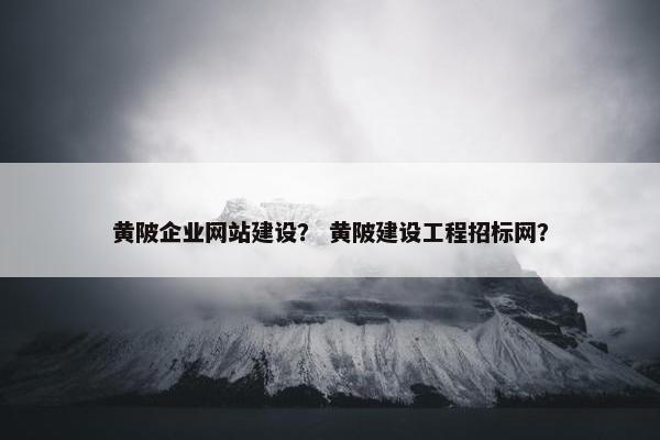 黄陂企业网站建设？ 黄陂建设工程招标网？