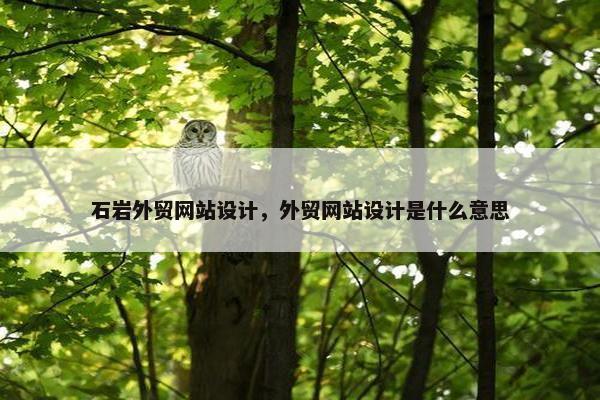 石岩外贸网站设计，外贸网站设计是什么意思