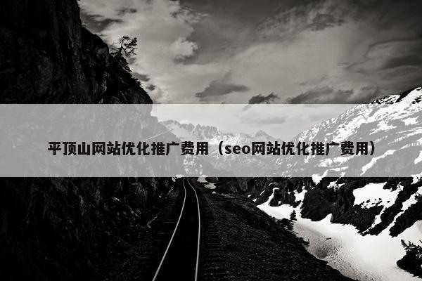 平顶山网站优化推广费用（seo网站优化推广费用）