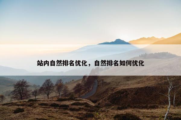 站内自然排名优化，自然排名如何优化
