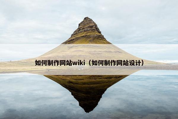 如何制作网站wiki（如何制作网站设计）