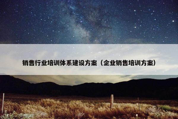 销售行业培训体系建设方案（企业销售培训方案）